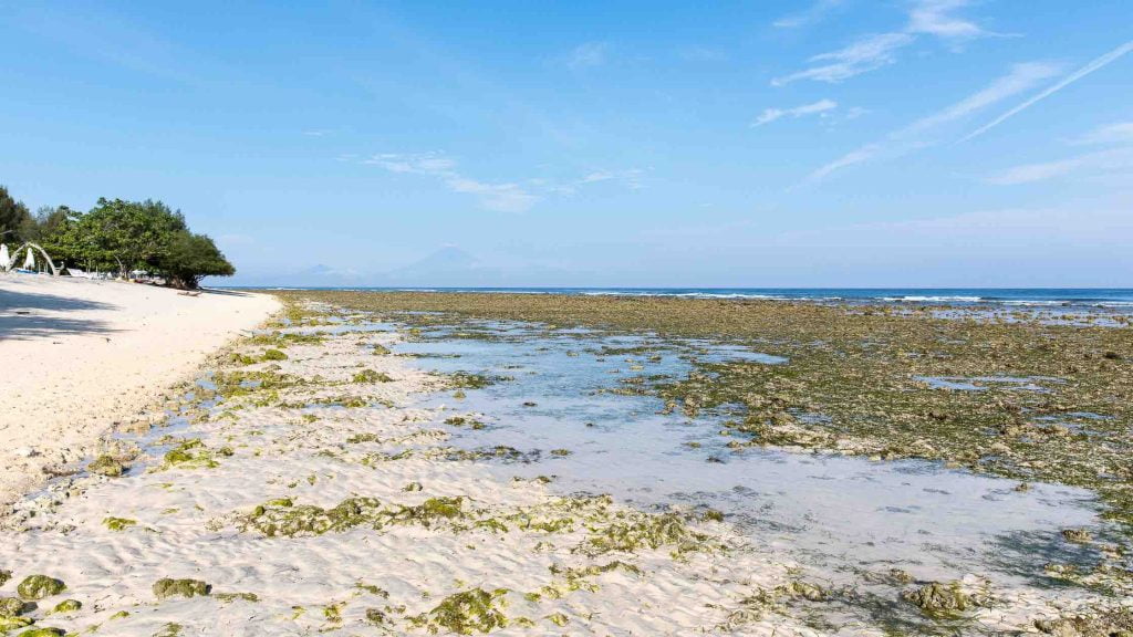 Ebb and flow blog Heading